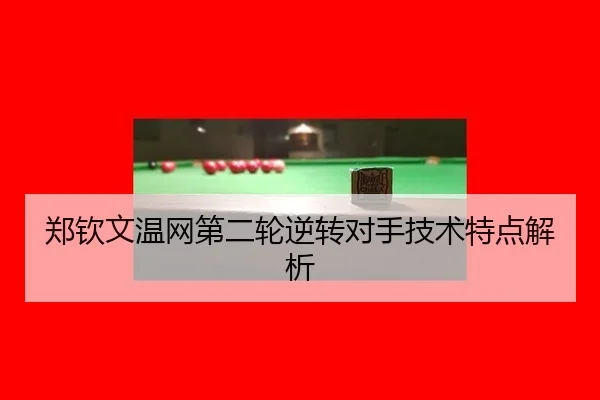 zheng-qin-wen-wen-wang-di-er-lun-ni-zhuan-dui-shou-ji-shu-te-dian-jie-xi-2-978.jpg